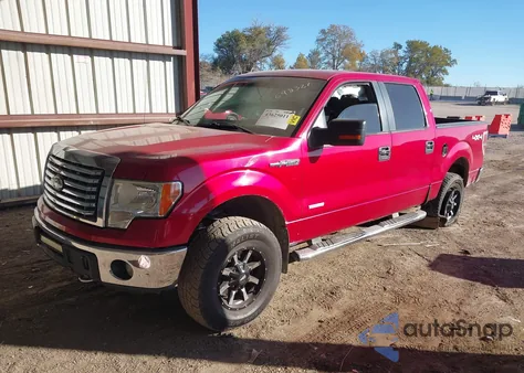 2011 Ford F-150 Xlt z USA, uszkodzony, nr VIN 1FTFW1ET7BKE09265